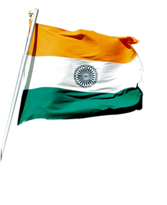 indian flag print advertisement idea design creative independence #38508