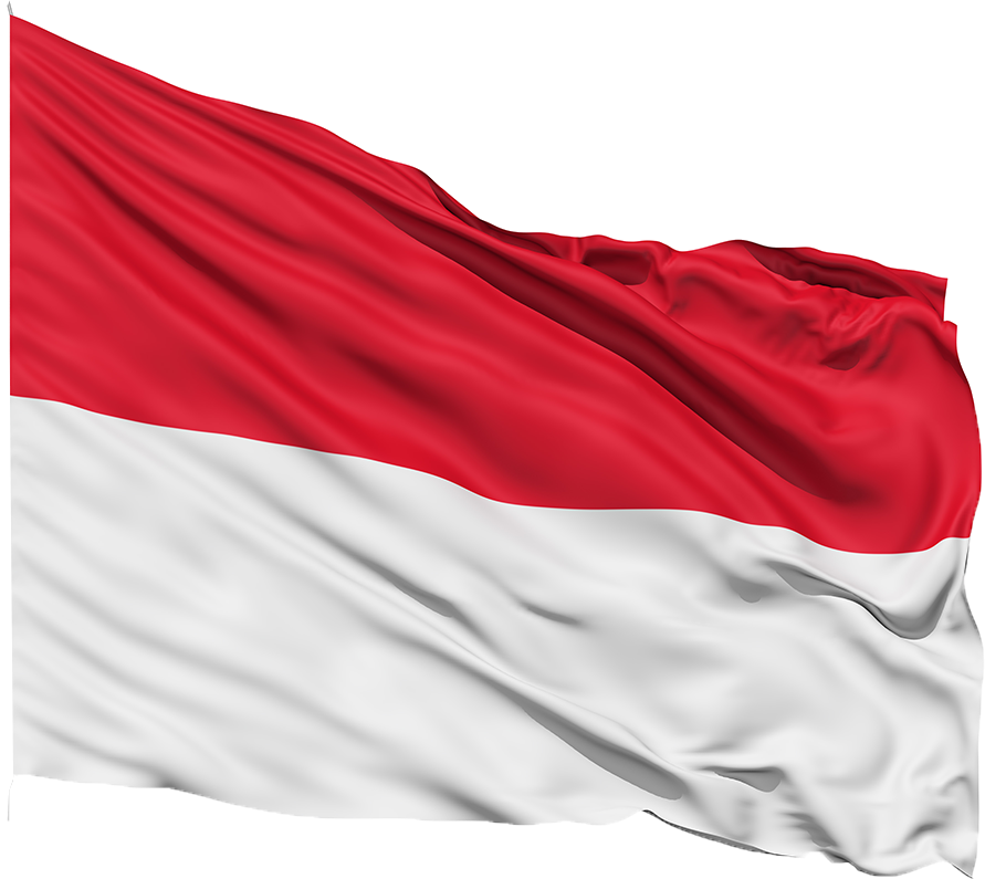 big flag of indonesia country #42651