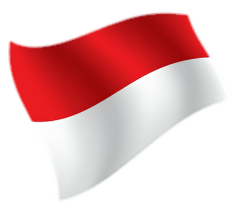 indonesia flag png #42653
