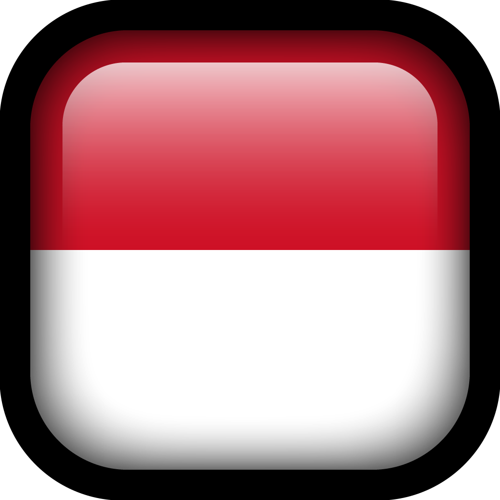 indonesia square flag icon #42648