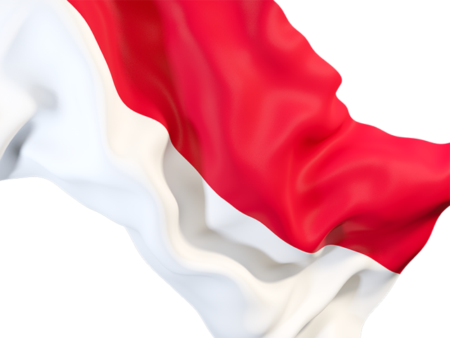 wavy, indonesia, country, red, white, illustration #42652