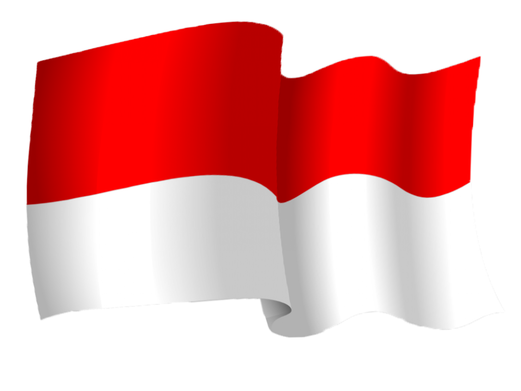 wavy indonesia flag red and white png #42642