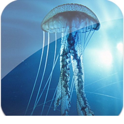 amazonm jellyfish live wallpaper appstore for #36452