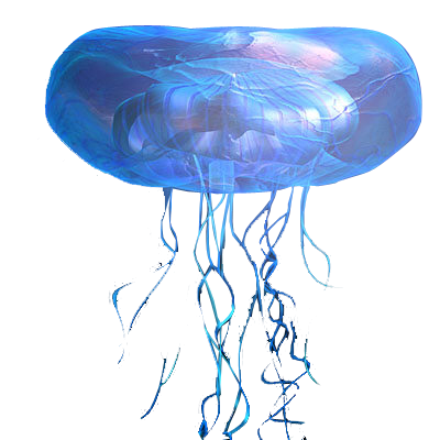 Roblox Blue Jellyfish transparent PNG - StickPNG