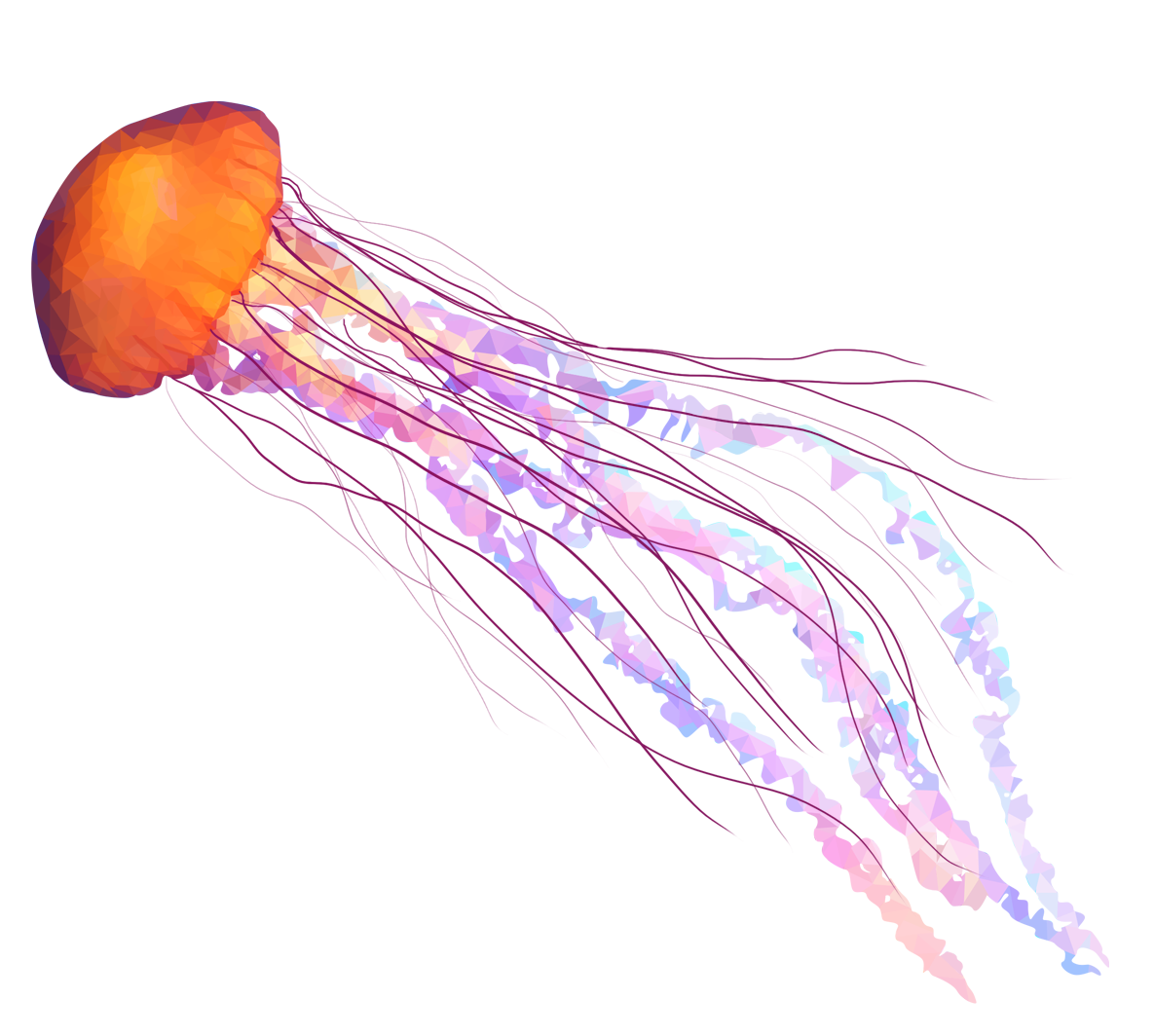 jellyfish download png image png mart #36353
