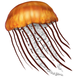 jellyfish drag test #36354