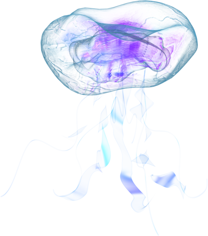 jellyfish looking glass hologram looking glass kickstarter #36426