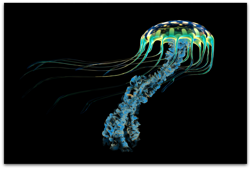 jellyfish new materials inspired sea creatures ecs #36386