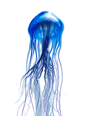 jellyfish png images are available download #36420