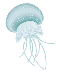 jellyfish png images are available download #36458