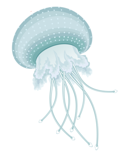 Jellyfish Images Transparent PNG, Free Download