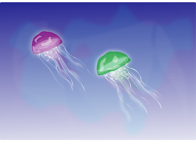 vector graphic jellyfish tentacles swimming sea #36437