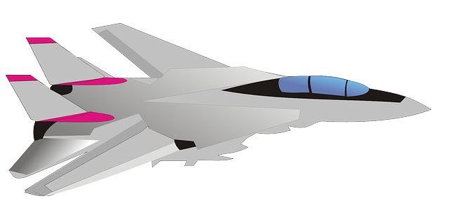 aircraft jet airplane military vector graphic pixabay #29231