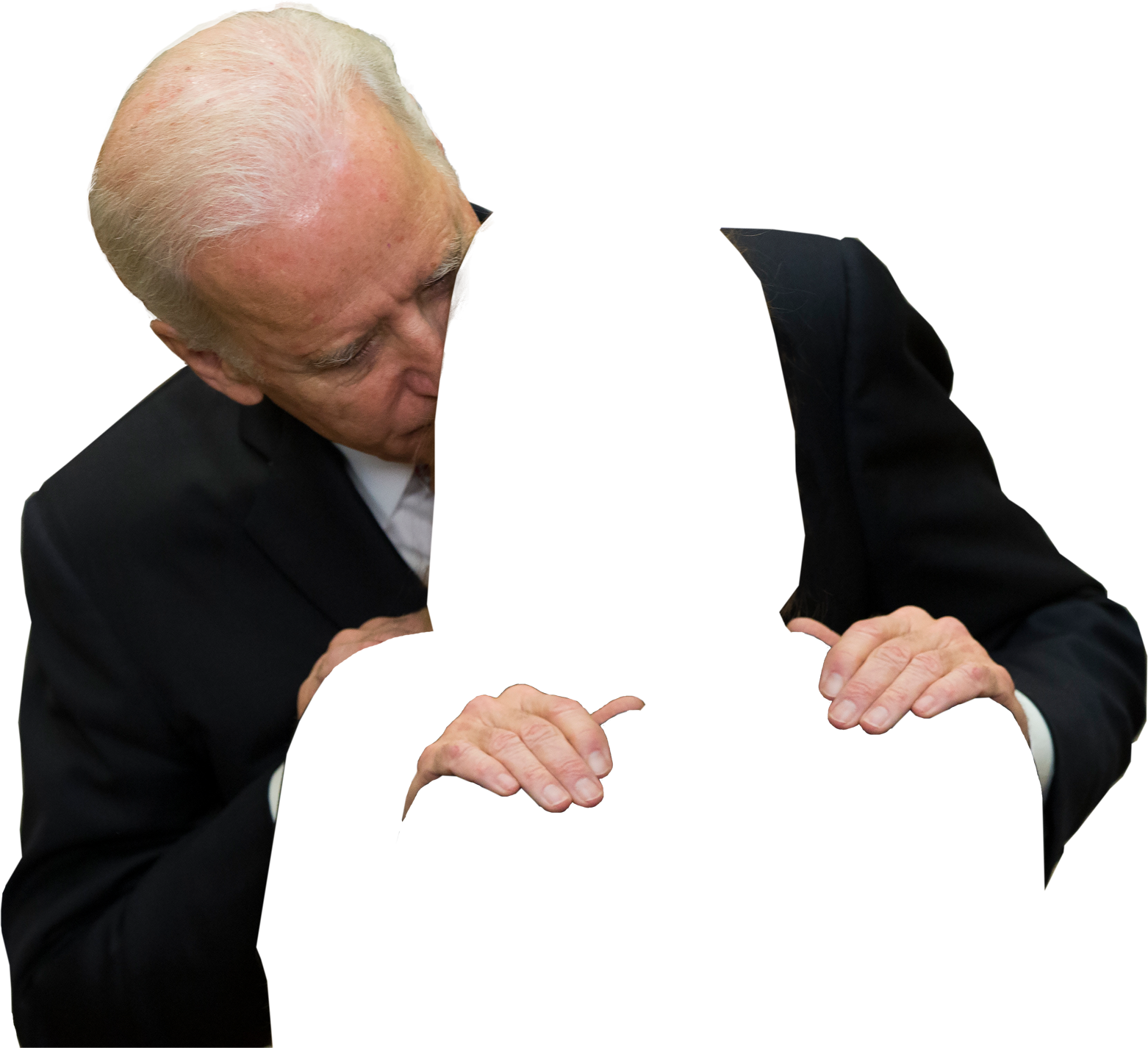 download person joe biden #40983