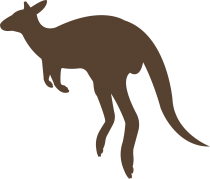 kangaroo transparent quality image