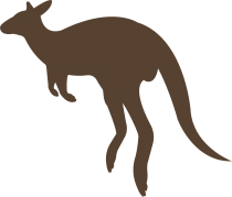 Kangaroo PNG Images Free Download