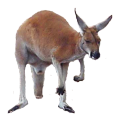 kangaroo tux paint stamp browser animals #39243