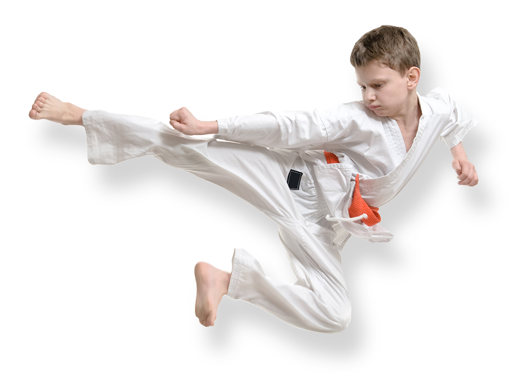 home shotokan karate leadership school #34554