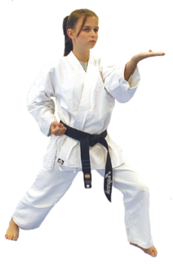 karate black belt club program american martial arts academy #34556