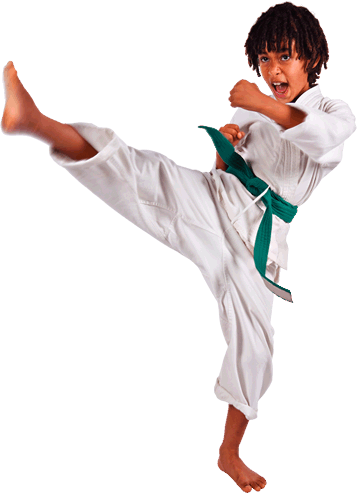 karate boyz organizables #34539