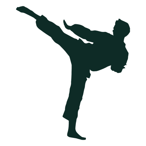 karate high kick training transparent png svg vector #34536