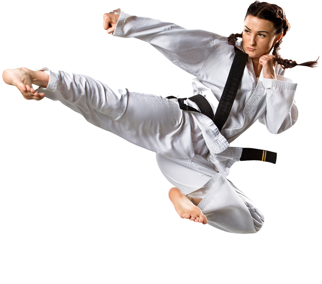 shinri karate schools #34578