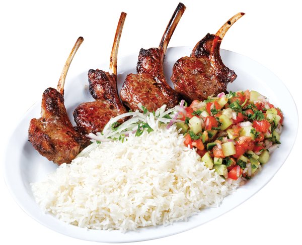 kebab, saj lebanese cuisine hookah lounge paterson #22220