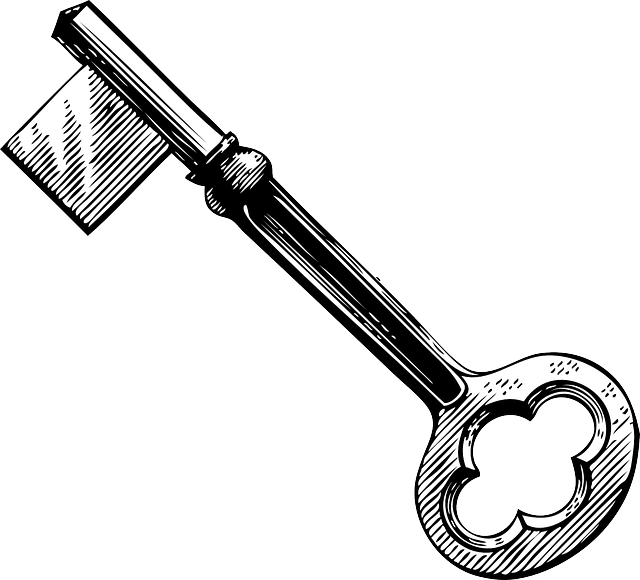 vector graphic skeleton key key old lock #19676