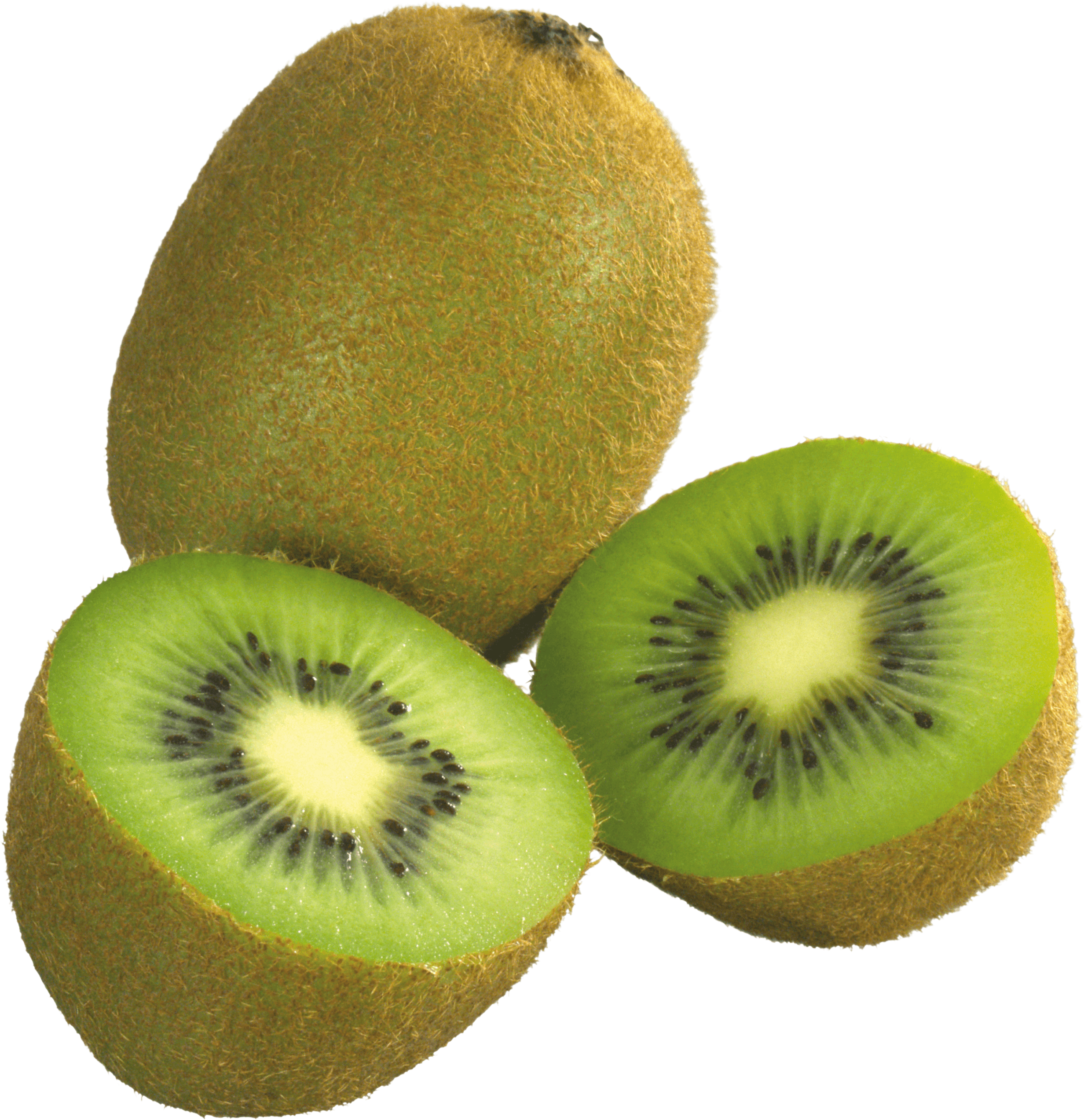 download kiwi png image fruit kiwi png pictures download #24897