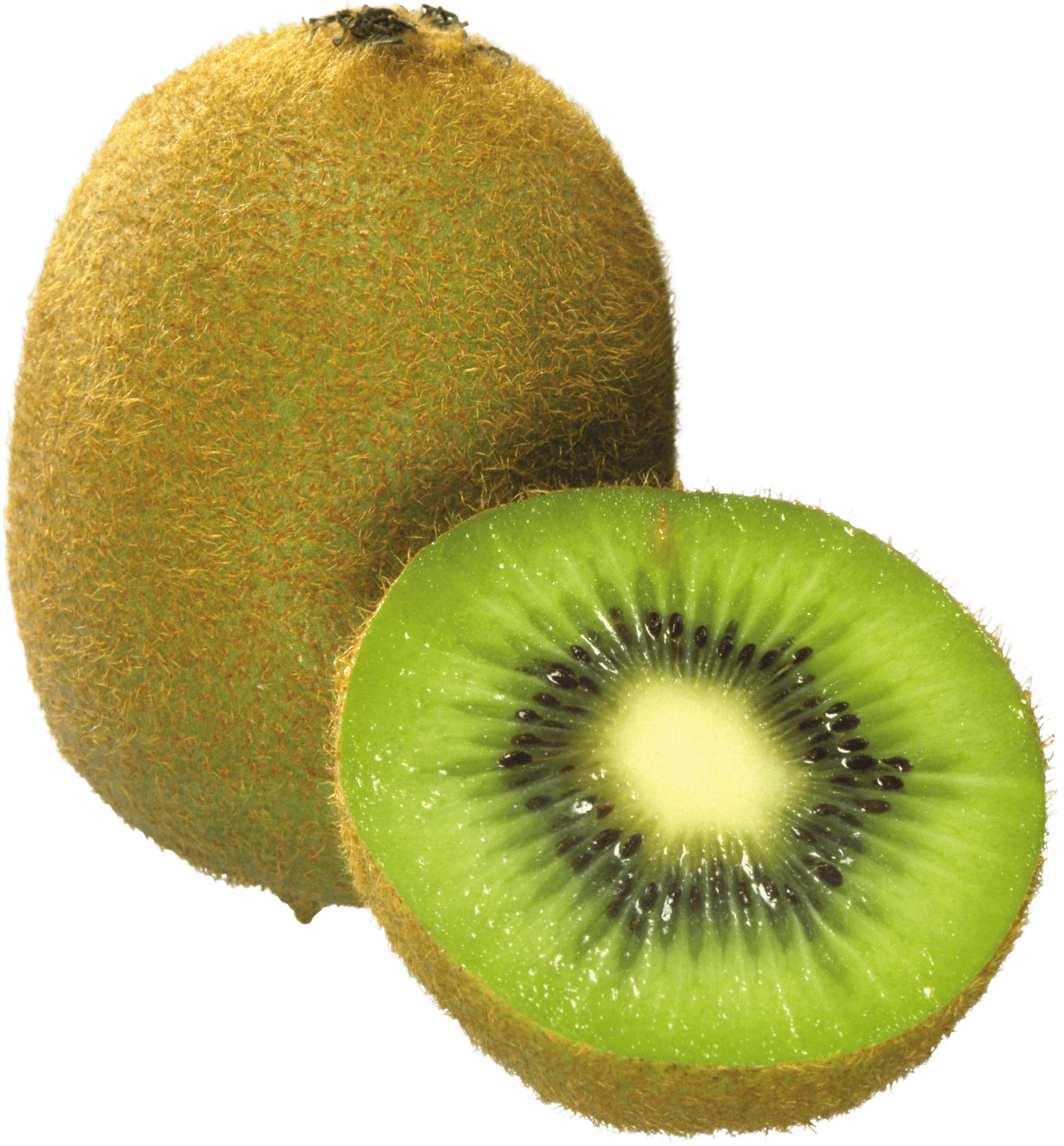 download kiwi png image fruit kiwi png pictures download #24788