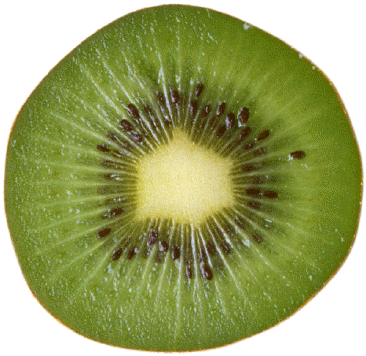 file demi kiwi wikimedia commons #24868