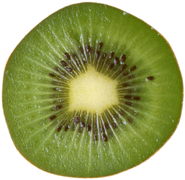 download transparent demi kiwi image #24868