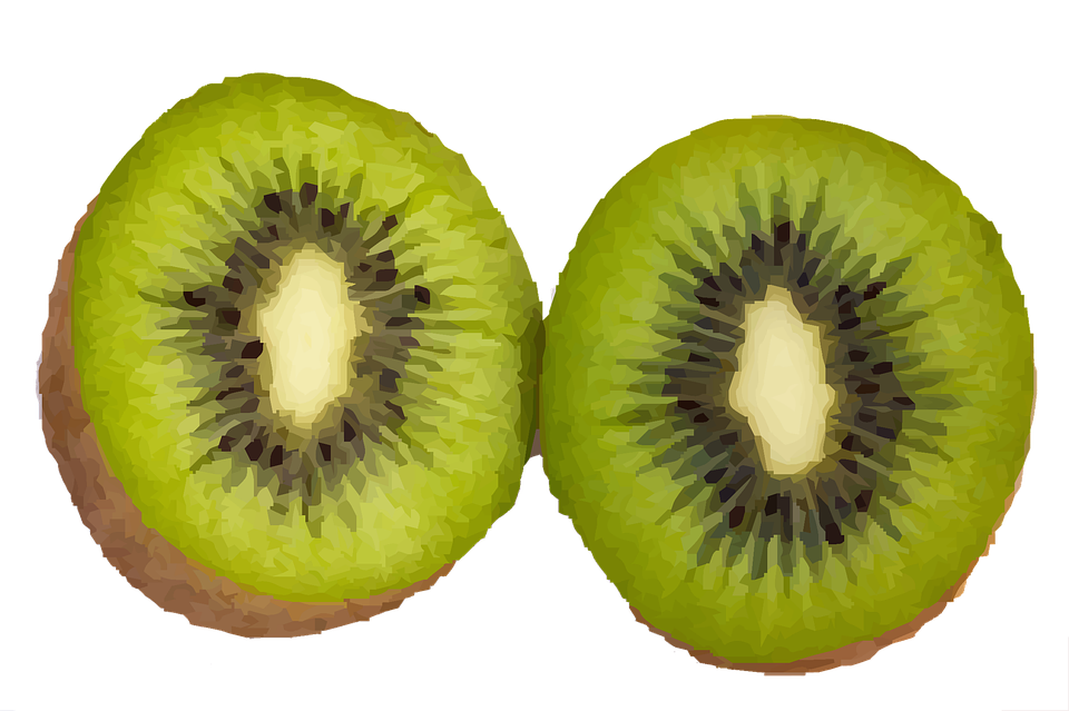 illustration kiwi fruit food fresh diet #24972