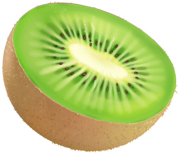 kiwi fruit png clip art image gallery yopriceville #24924