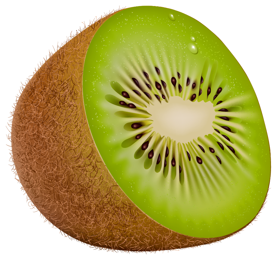 kiwi, kiwis clipart clipground #24805