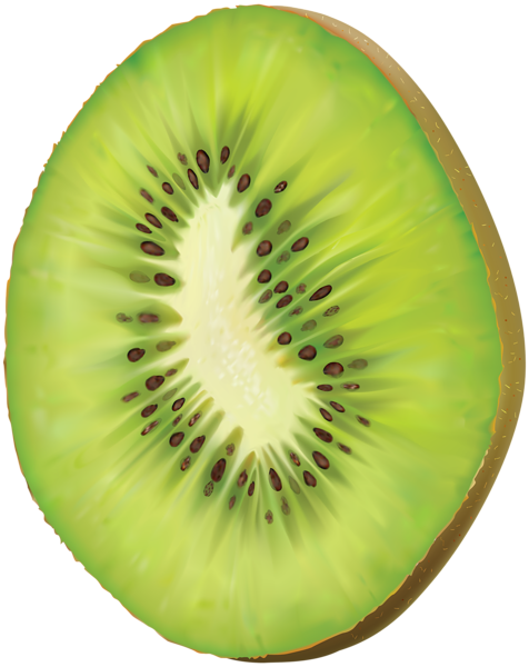 kiwi transparent png clip art gallery yopriceville #24929