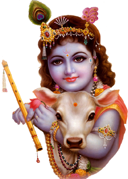 lord krishna with cow png #33011