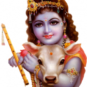 lord krishna, flute, cow png image #33044