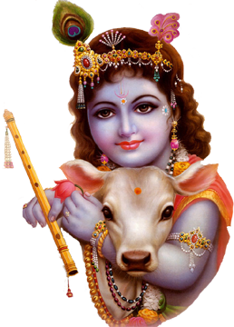 lord krishna png transparent images png only #33034