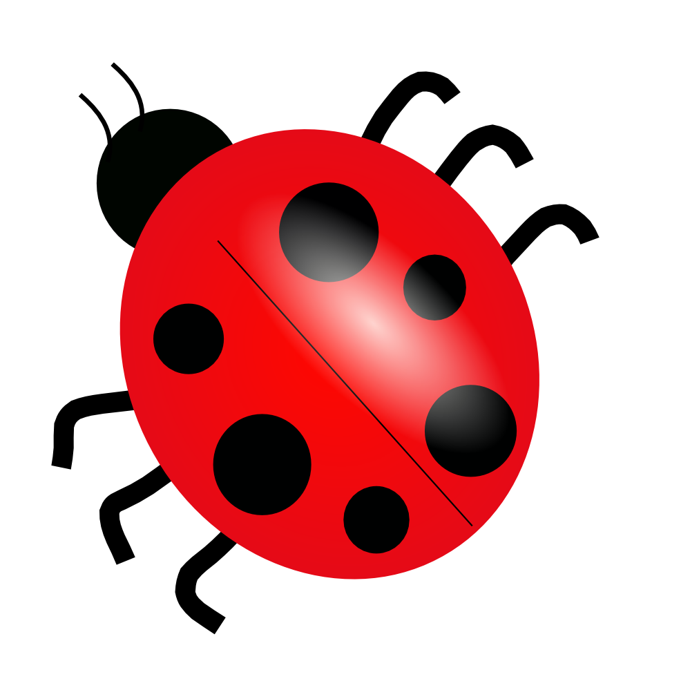 Lady Bug PNG, Vector, PSD, and Clipart With Transparent Background for Free  Download