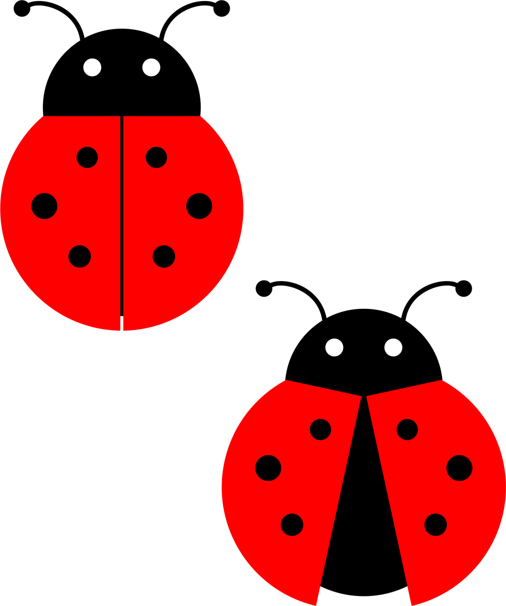 Ladybug png images