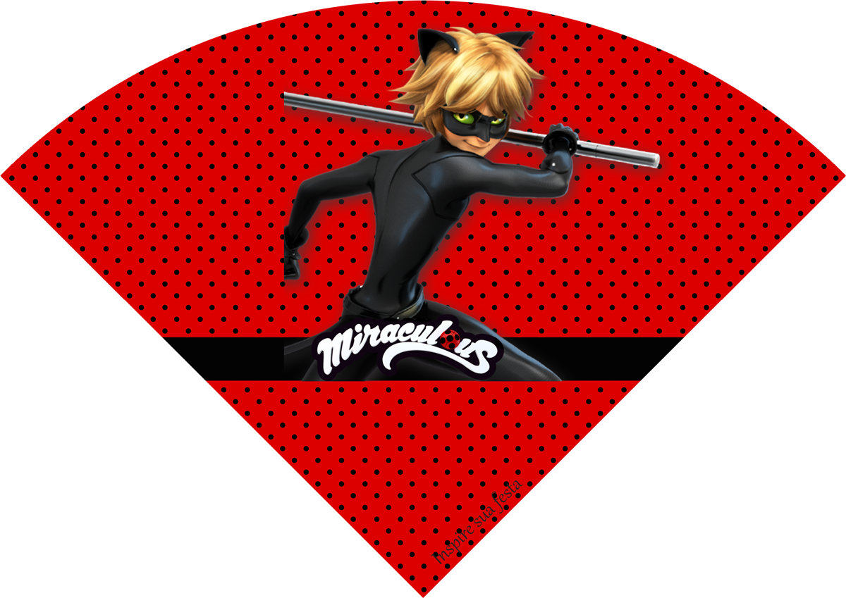 images about miraculous ladybug cat noir printables pinterest #29728