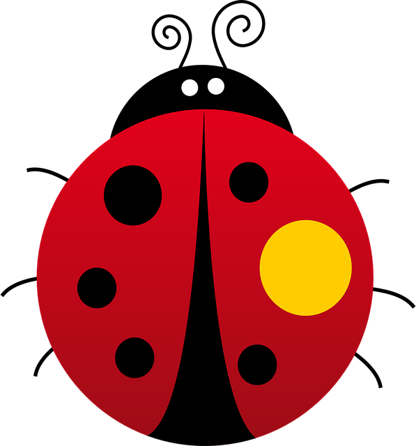 ladybug beetle red the vector graphic pixabay #29644