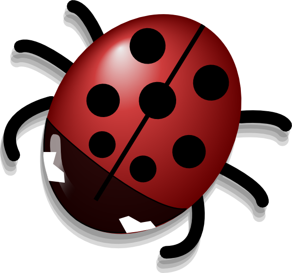 Ladybug PNG Image - PurePNG  Free transparent CC0 PNG Image Library