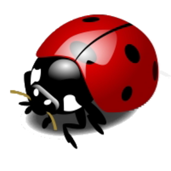 Free: Ladybug Feltro Molde Pesquisa Google Pinterest - Miraculous Ladybug  Png 