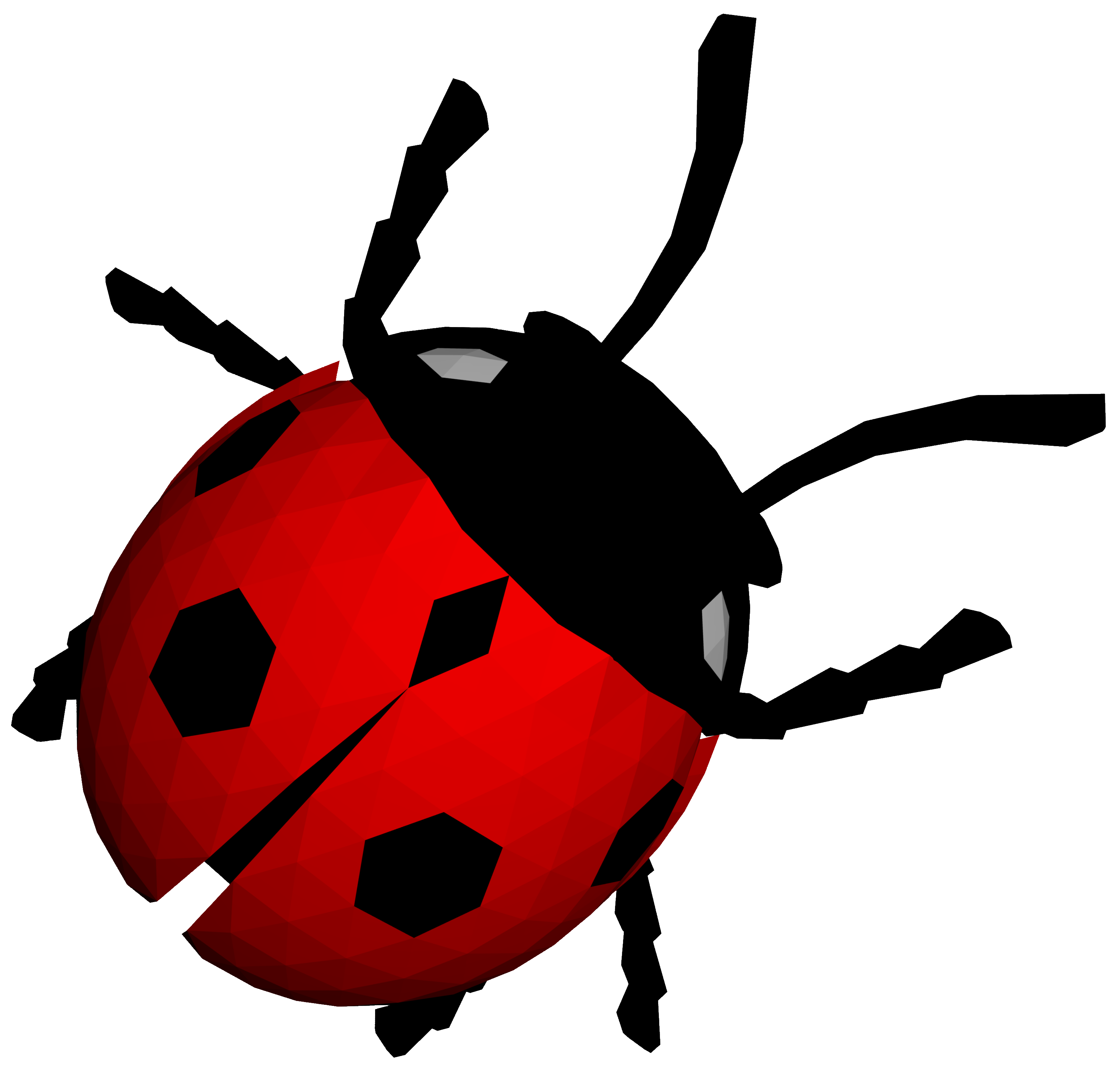 ladybug, index files media #29722