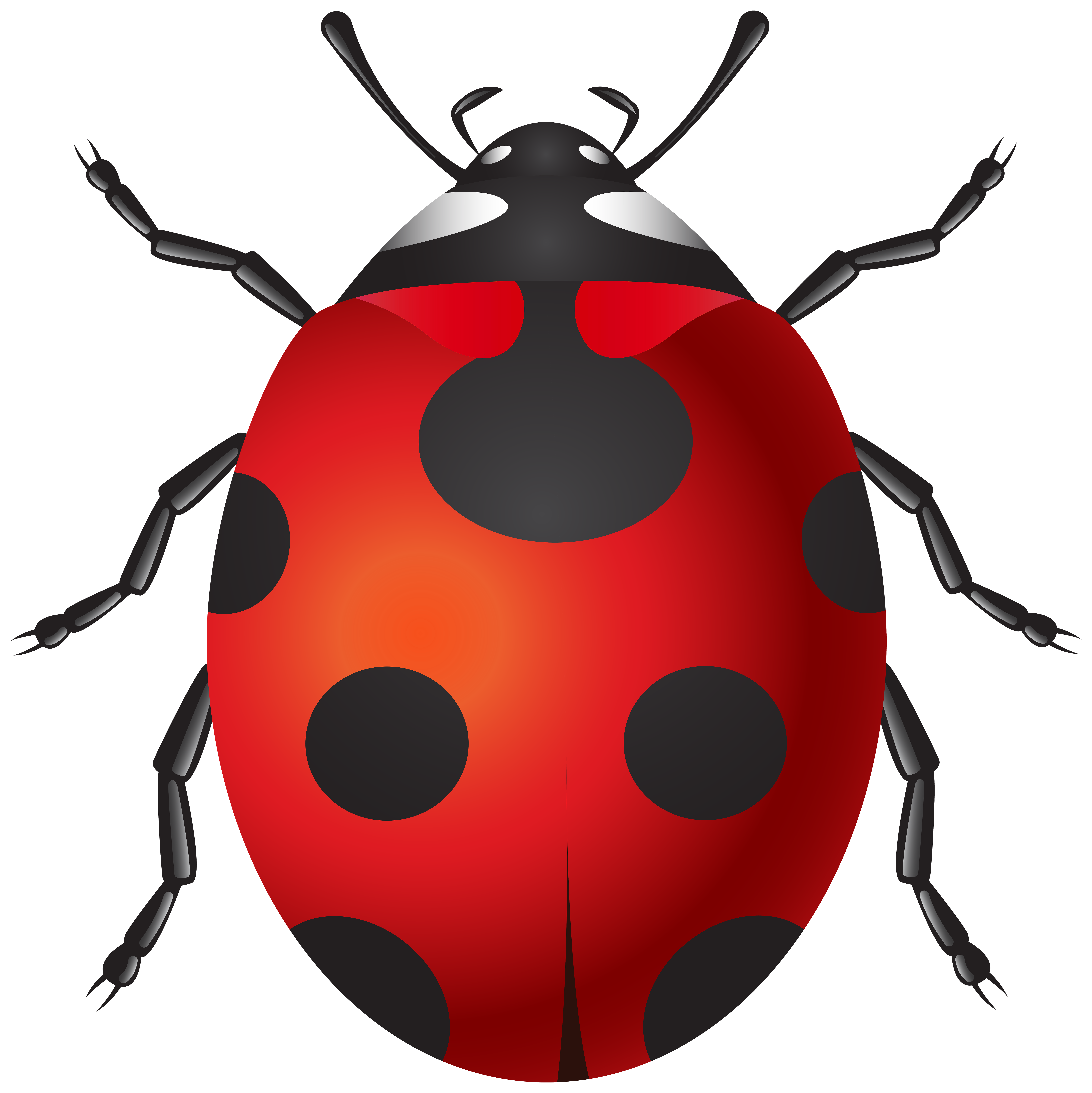 ladybug png clip art best web clipart #29638