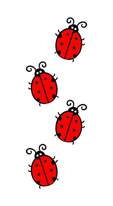 ladybug red black vector graphic pixabay #29690