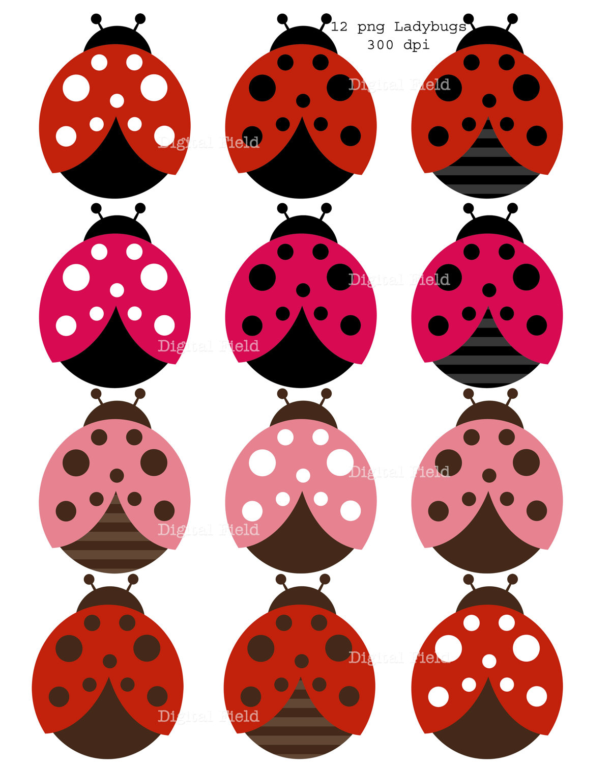 black and white ladybug clipart download clip #32088