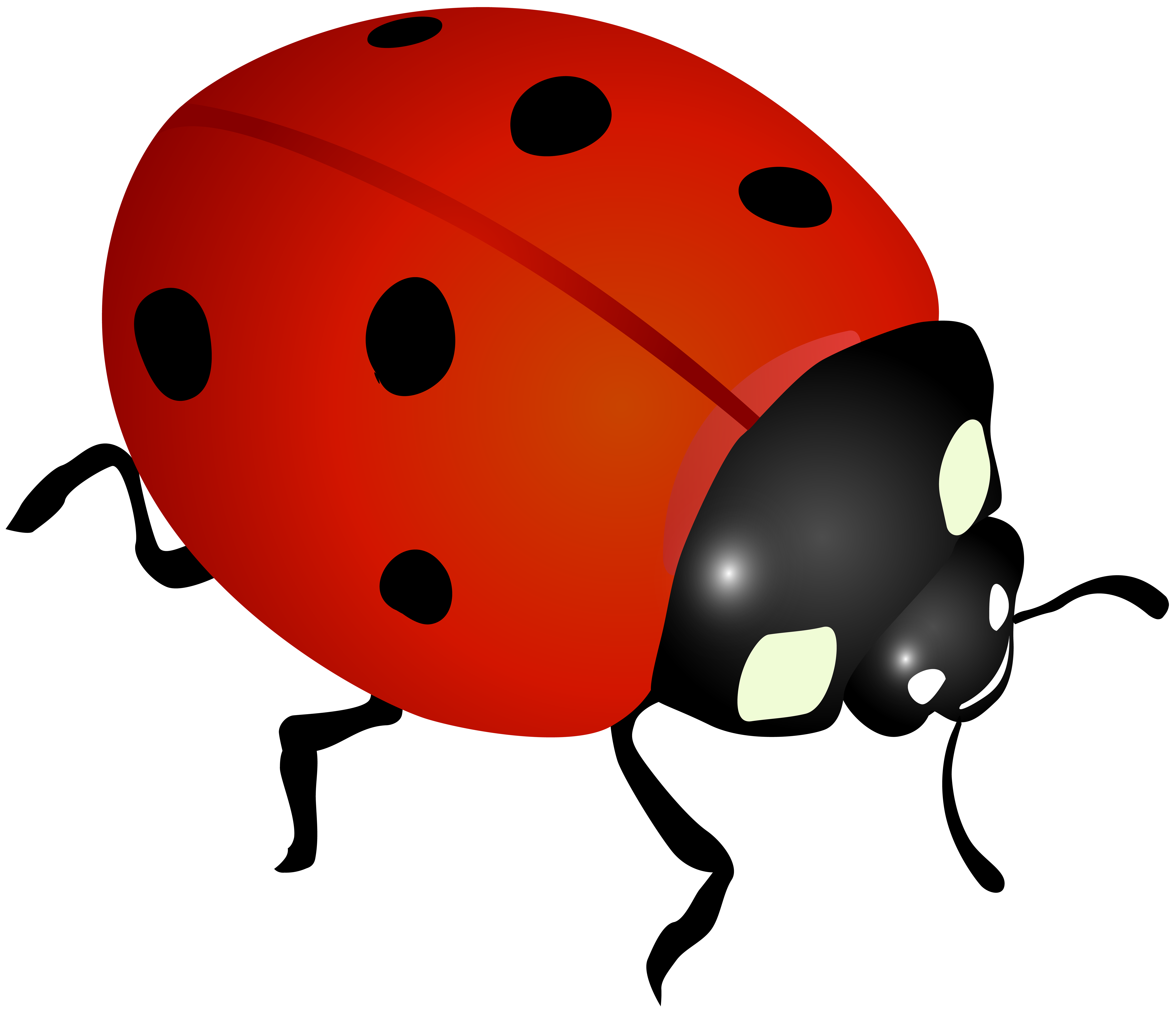 ladybug clipart ladybug transparent for download #32085